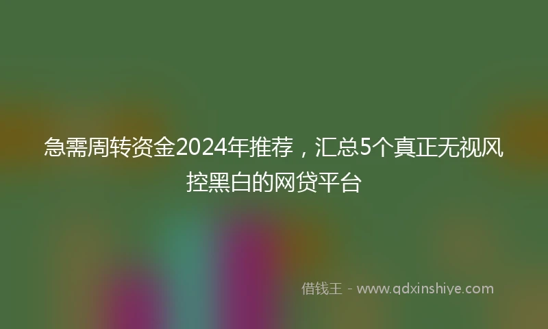 急需周转资金2024年推荐，汇总5个真正无视风控黑白的网贷平台