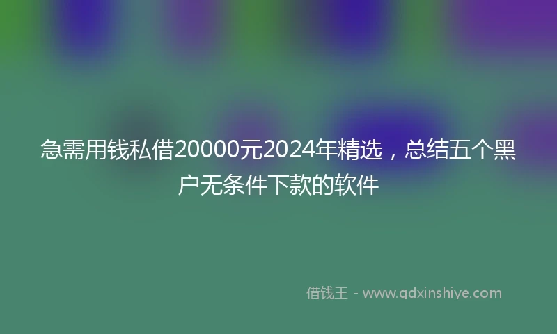 急需用钱私借20000元2024年精选，总结五个黑户无条件下款的软件