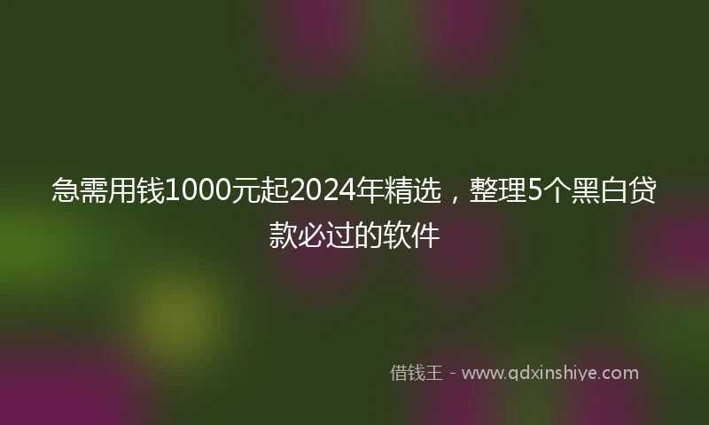 急需用钱1000元起2024年精选，整理5个黑白贷款必过的软件