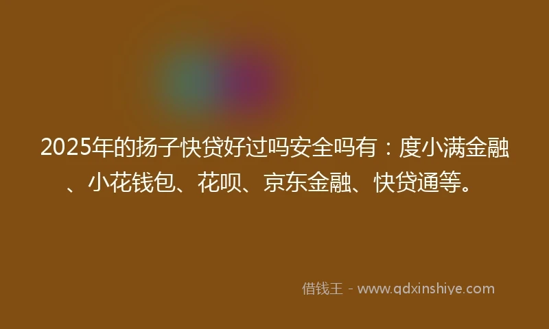 2025年的扬子快贷好过吗安全吗有：度小满金融、小花钱包、花呗、京东金融、快贷通等。