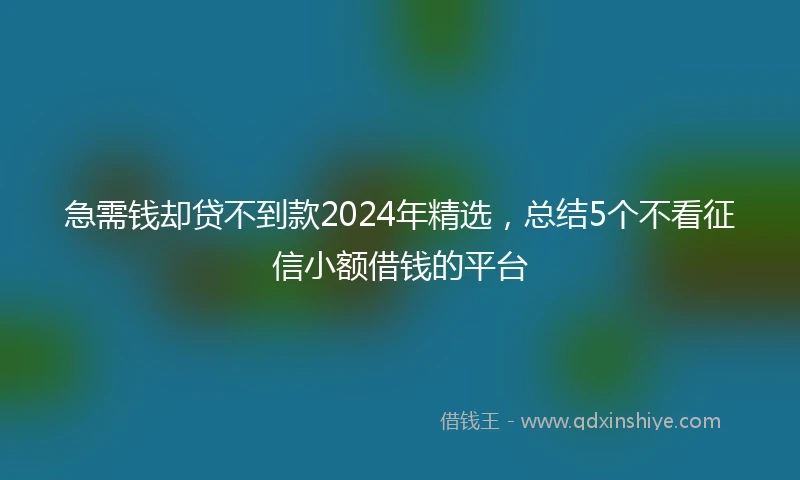 急需钱却贷不到款2024年精选，总结5个不看征信小额借钱的平台