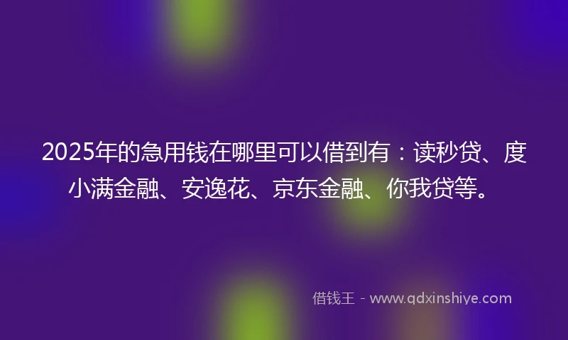 2025年的急用钱在哪里可以借到有：读秒贷、度小满金融、安逸花、京东金融、你我贷等。