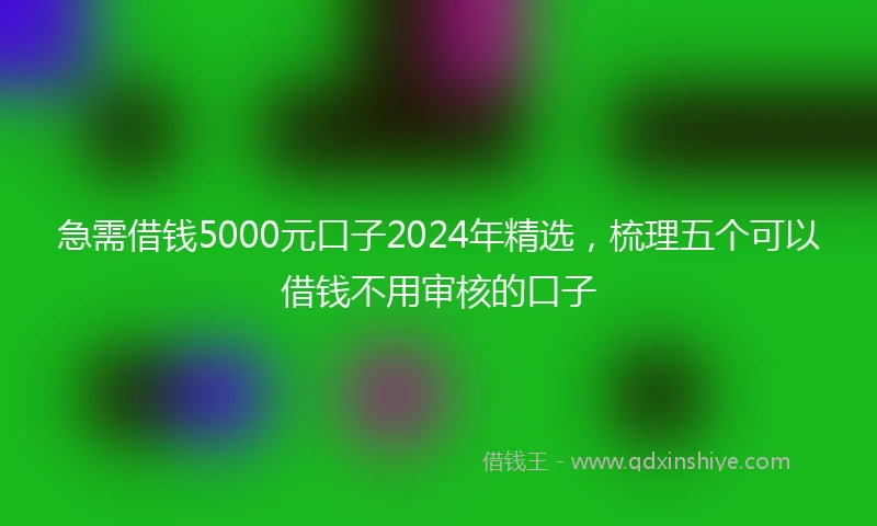 急需借钱5000元口子2024年精选，梳理五个可以借钱不用审核的口子