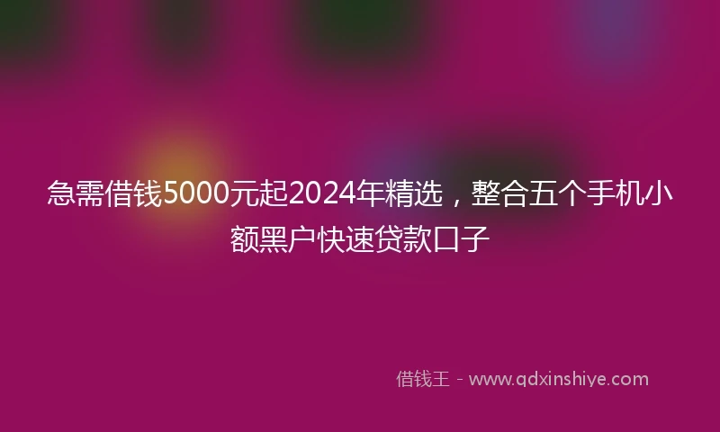 急需借钱5000元起2024年精选，整合五个手机小额黑户快速贷款口子