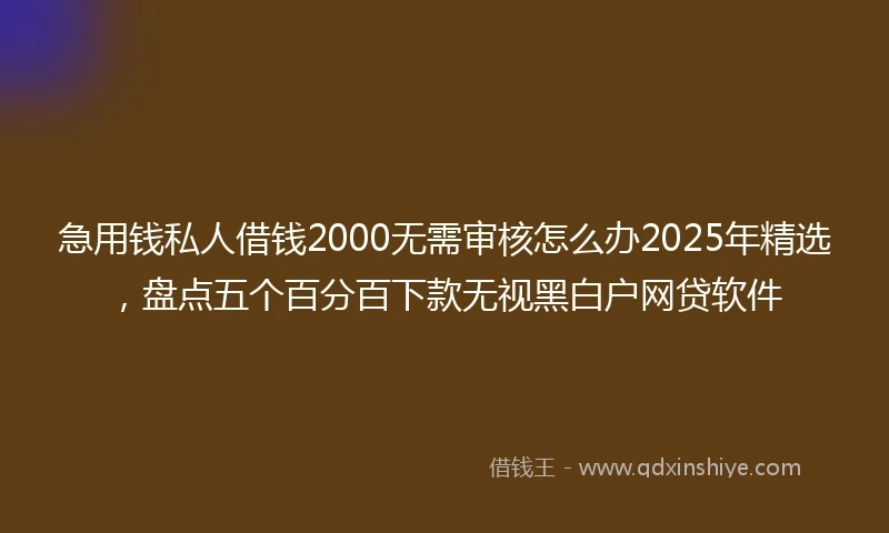 急用钱私人借钱2000无需审核怎么办2025年精选，盘点五个百分百下款无视黑白户网贷软件