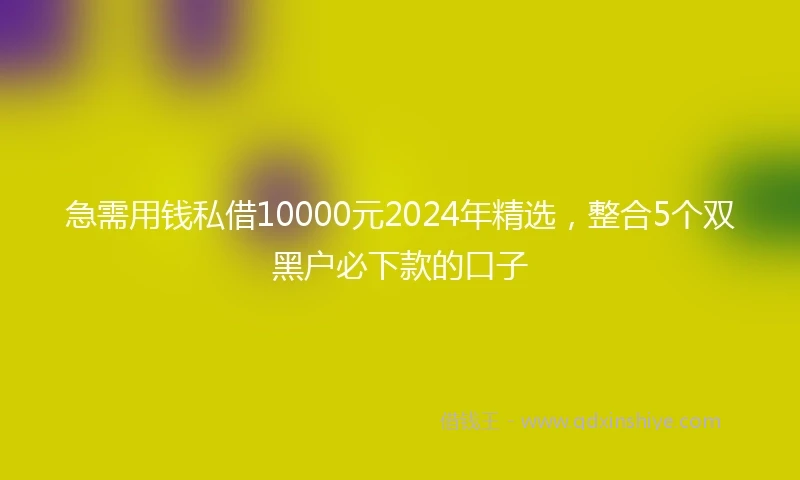急需用钱私借10000元2024年精选，整合5个双黑户必下款的口子
