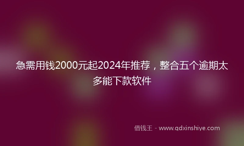 急需用钱2000元起2024年推荐，整合五个逾期太多能下款软件