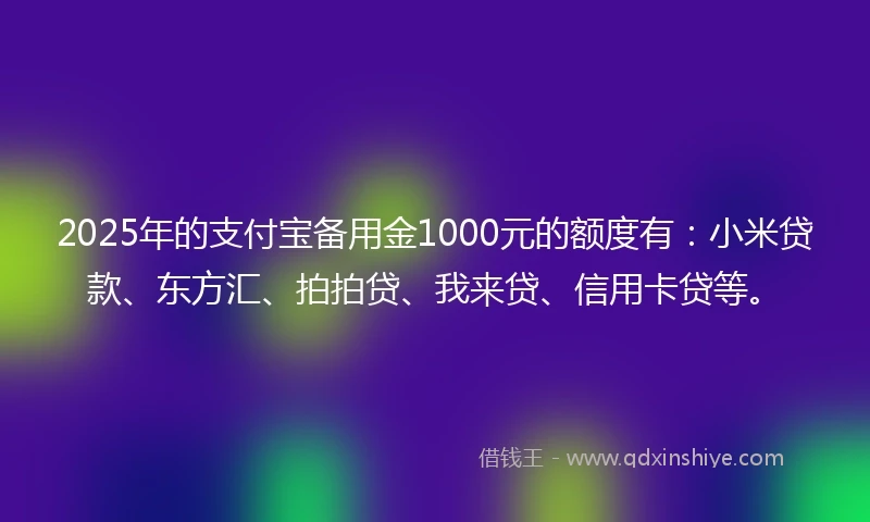 2025年的支付宝备用金1000元的额度有:小米贷款、东方汇、拍拍贷、我来贷、信用卡贷等。