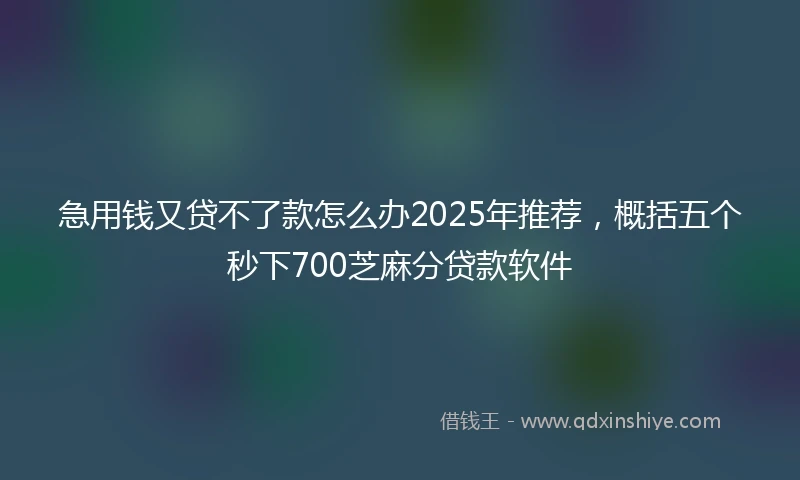 急用钱又贷不了款怎么办2025年推荐，概括五个秒下700芝麻分贷款软件