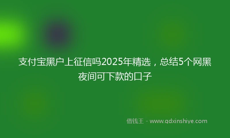 支付宝黑户上征信吗2025年精选，总结5个网黑夜间可下款的口子