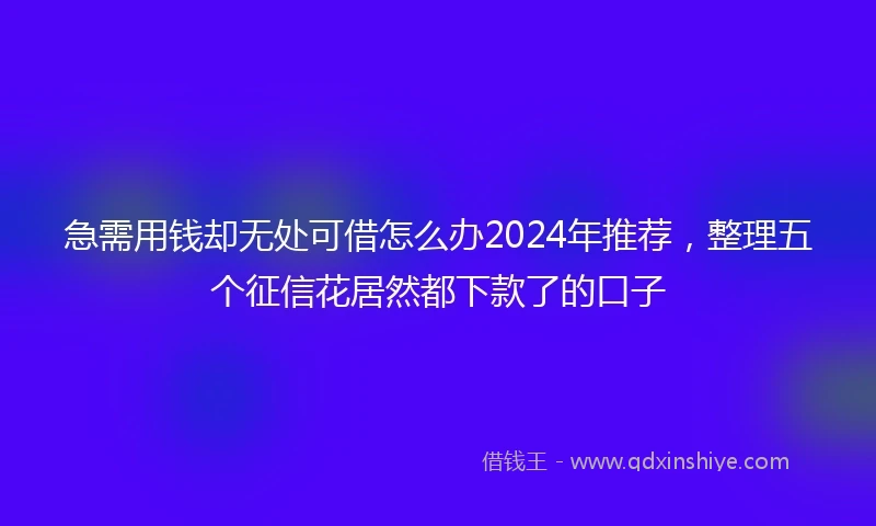急需用钱却无处可借怎么办2024年推荐，整理五个征信花居然都下款了的口子