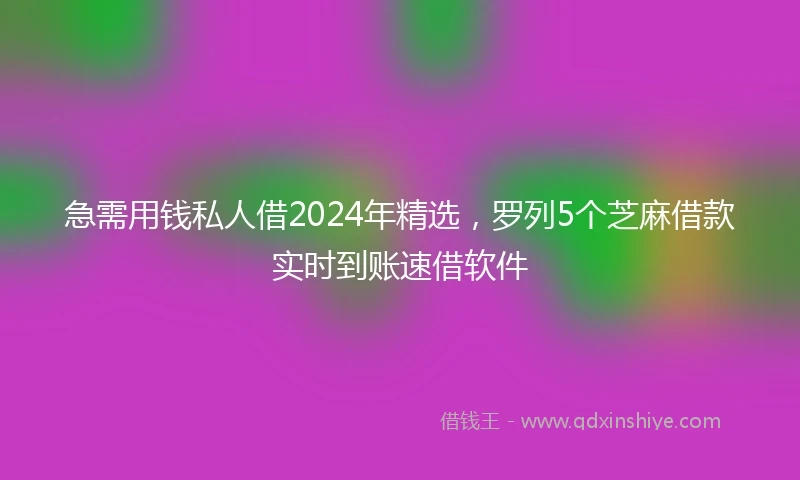 急需用钱私人借2024年精选，罗列5个芝麻借款实时到账速借软件