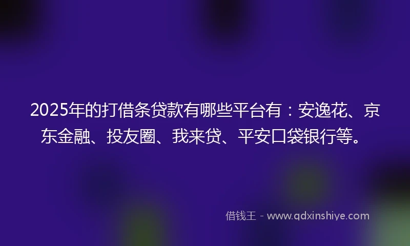 2025年的打借条贷款有哪些平台有：安逸花、京东金融、投友圈、我来贷、平安口袋银行等。