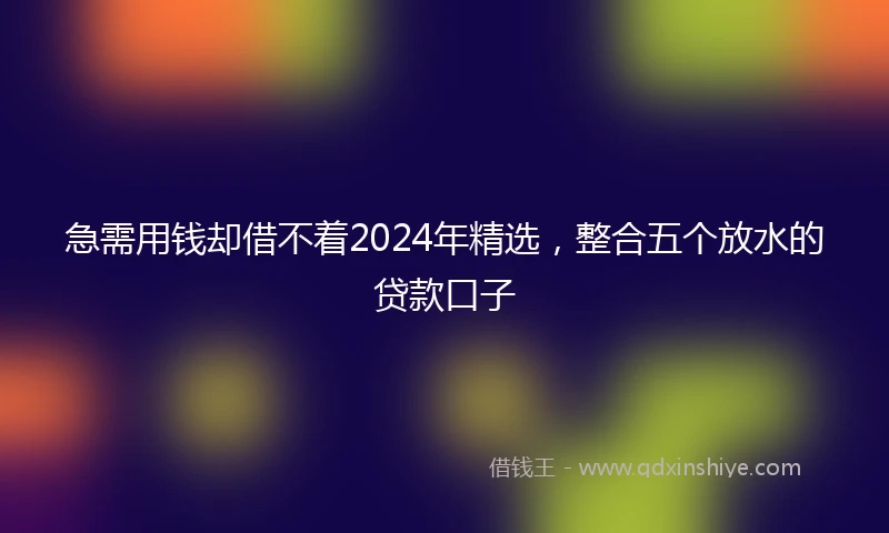 急需用钱却借不着2024年精选，整合五个放水的贷款口子
