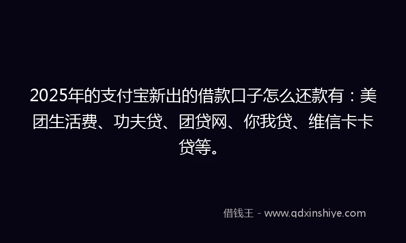 2025年的支付宝新出的借款口子怎么还款有：美团生活费、功夫贷、团贷网、你我贷、维信卡卡贷等。