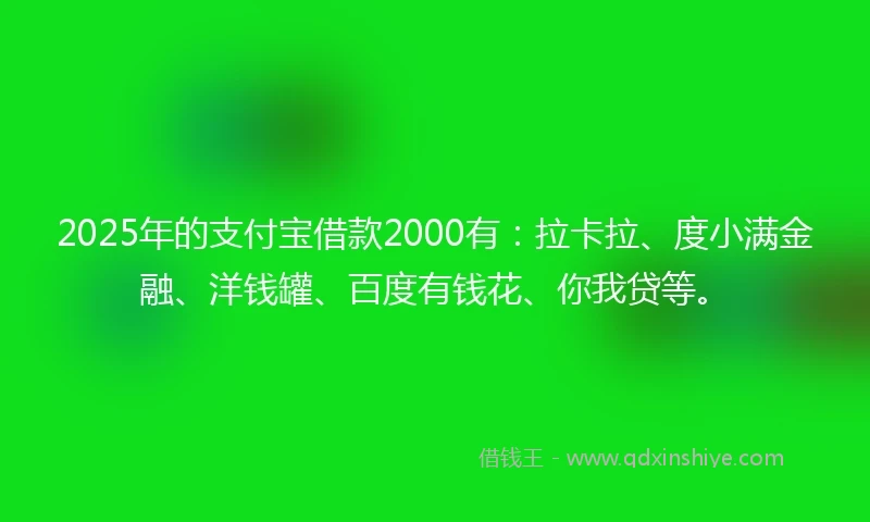 2025年的支付宝借款2000有：拉卡拉、度小满金融、洋钱罐、百度有钱花、你我贷等。