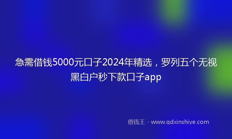 急需借钱5000元口子2024年精选，罗列五个无视黑白户秒下款口子app