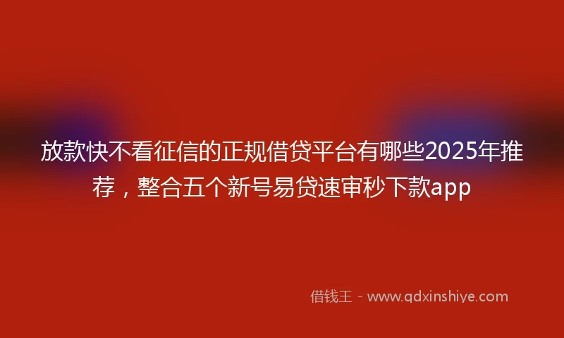 放款快不看征信的正规借贷平台有哪些2025年推荐，整合五个新号易贷速审秒下款app