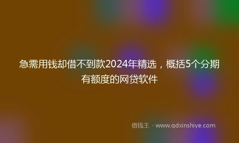 急需用钱却借不到款2024年精选，概括5个分期有额度的网贷软件
