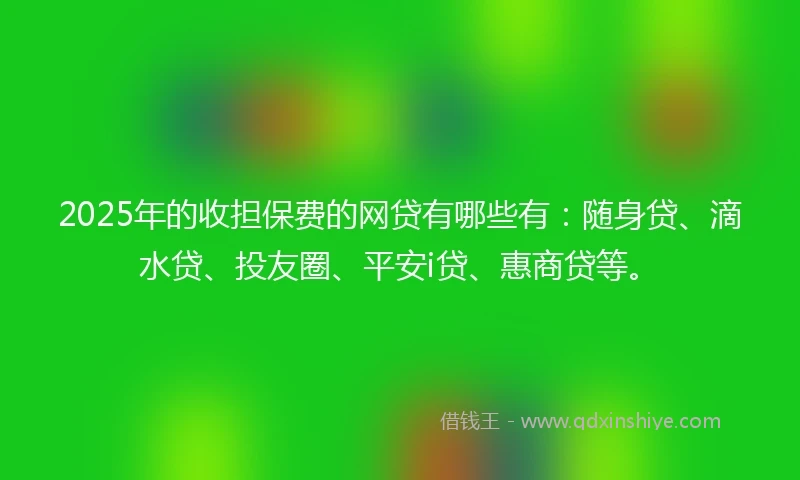 2025年的收担保费的网贷有哪些有：随身贷、滴水贷、投友圈、平安i贷、惠商贷等。