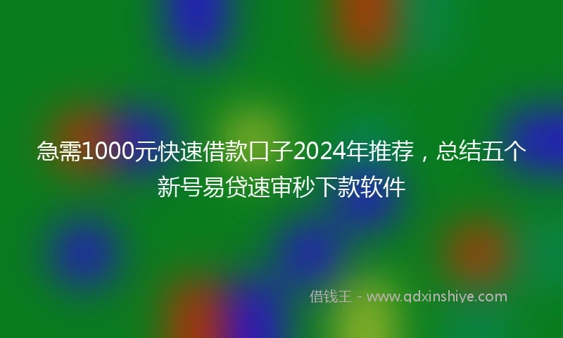 急需1000元快速借款口子2024年推荐，总结五个新号易贷速审秒下款软件