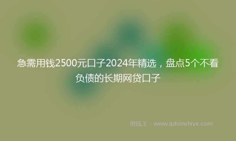 急需用钱2500元口子2024年精选，盘点5个不看负债的长期网贷口子