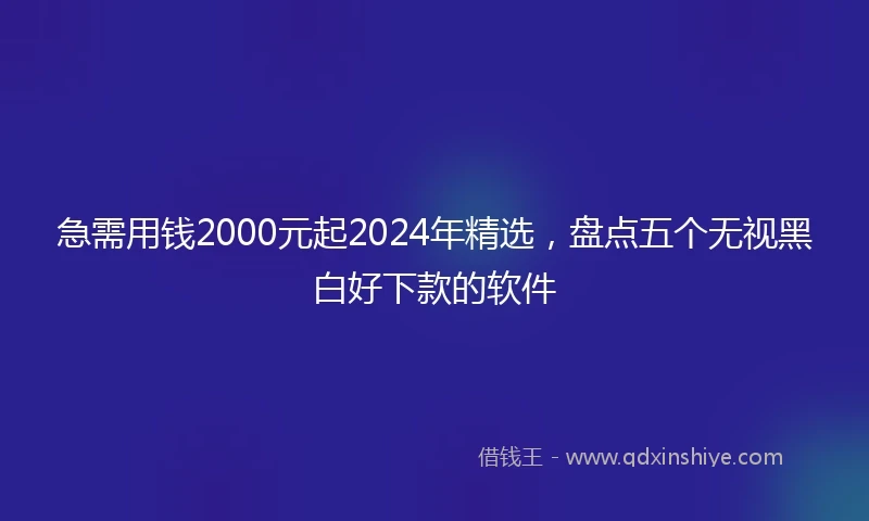 急需用钱2000元起2024年精选，盘点五个无视黑白好下款的软件