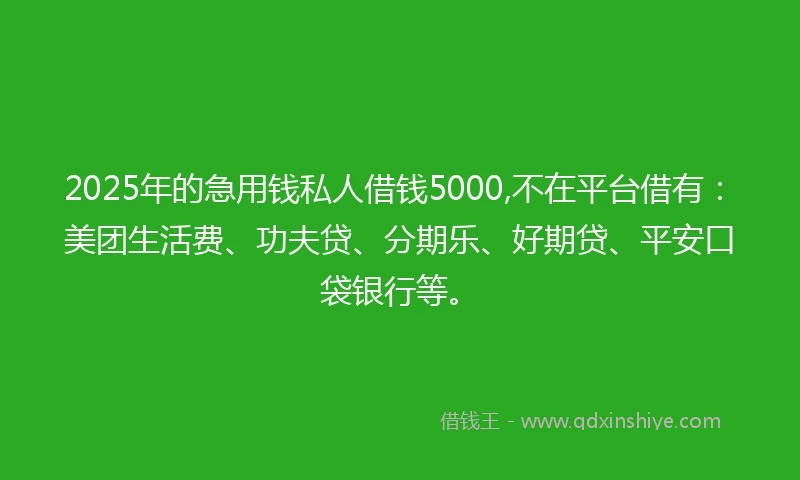 2025年的急用钱私人借钱5000,不在平台借有：美团生活费、功夫贷、分期乐、好期贷、平安口袋银行等。