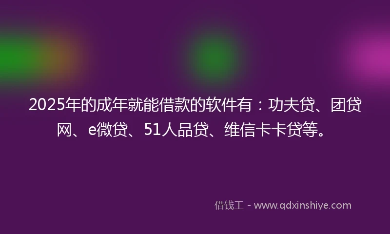 2025年的成年就能借款的软件有：功夫贷、团贷网、e微贷、51人品贷、维信卡卡贷等。