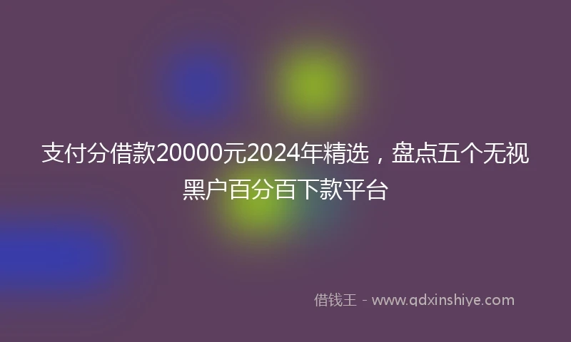 支付分借款20000元2024年精选，盘点五个无视黑户百分百下款平台
