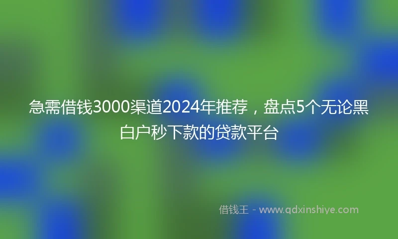 急需借钱3000渠道2024年推荐，盘点5个无论黑白户秒下款的贷款平台