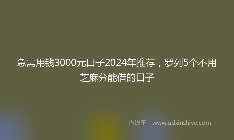 急需用钱3000元口子2024年推荐，罗列5个不用芝麻分能借的口子