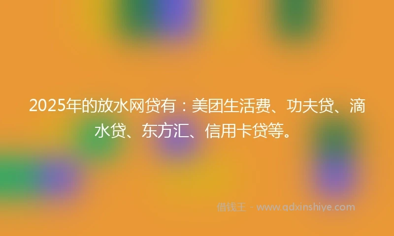 2025年的放水网贷有：美团生活费、功夫贷、滴水贷、东方汇、信用卡贷等。