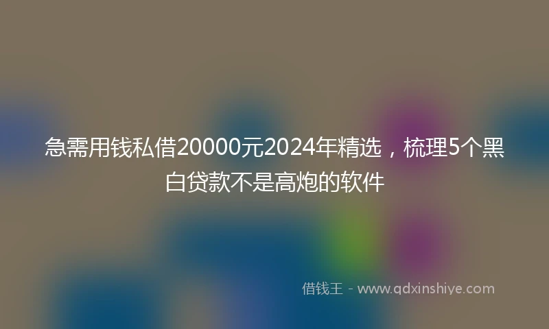 急需用钱私借20000元2024年精选，梳理5个黑白贷款不是高炮的软件