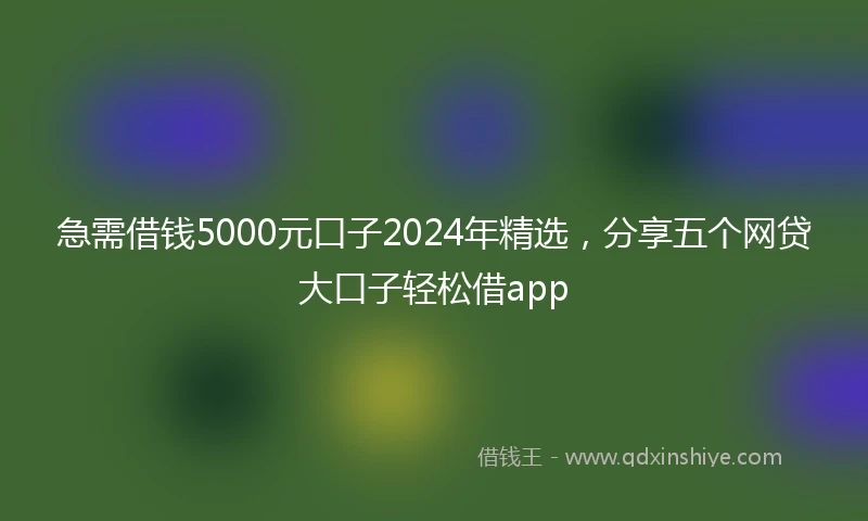 急需借钱5000元口子2024年精选，分享五个网贷大口子轻松借app