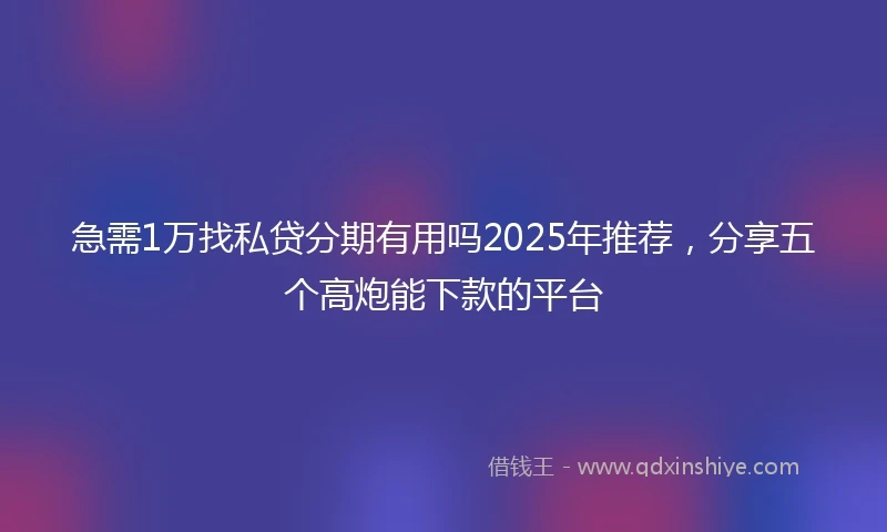 急需1万找私贷分期有用吗2025年推荐，分享五个高炮能下款的平台