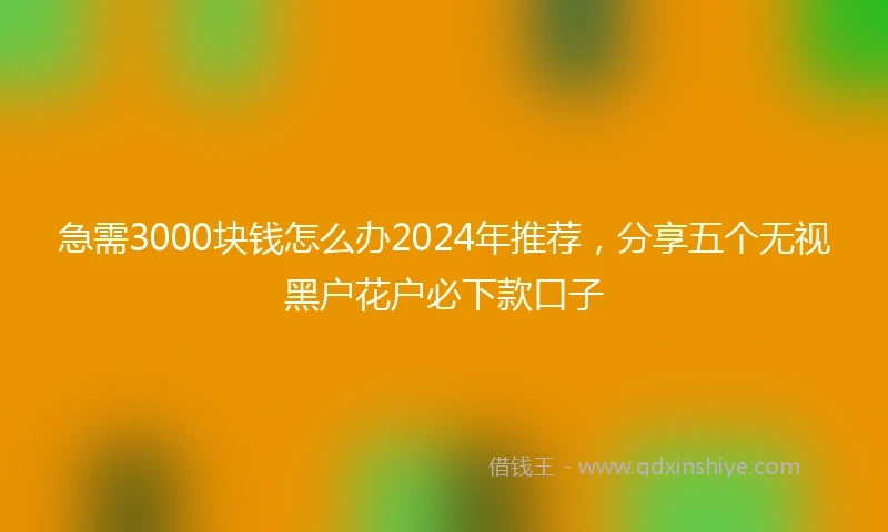 急需3000块钱怎么办2024年推荐，分享五个无视黑户花户必下款口子