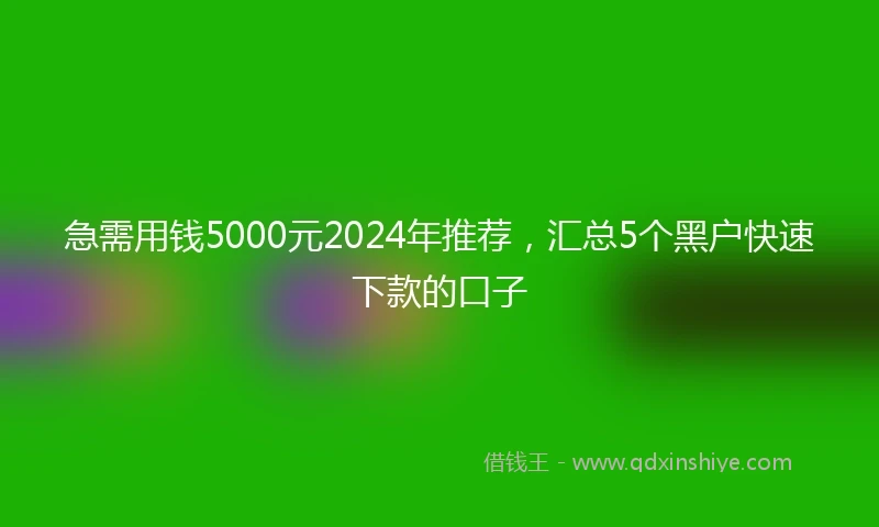 急需用钱5000元2024年推荐，汇总5个黑户快速下款的口子