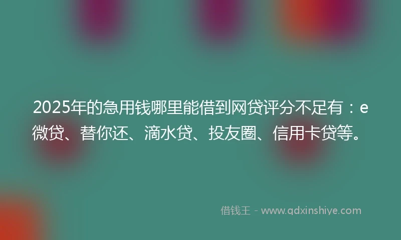2025年的急用钱哪里能借到网贷评分不足有：e微贷、替你还、滴水贷、投友圈、信用卡贷等。