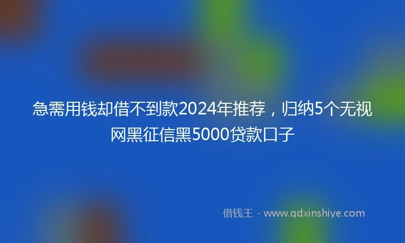 急需用钱却借不到款2024年推荐，归纳5个无视网黑征信黑5000贷款口子