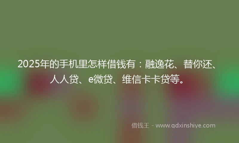 2025年的手机里怎样借钱有：融逸花、替你还、人人贷、e微贷、维信卡卡贷等。