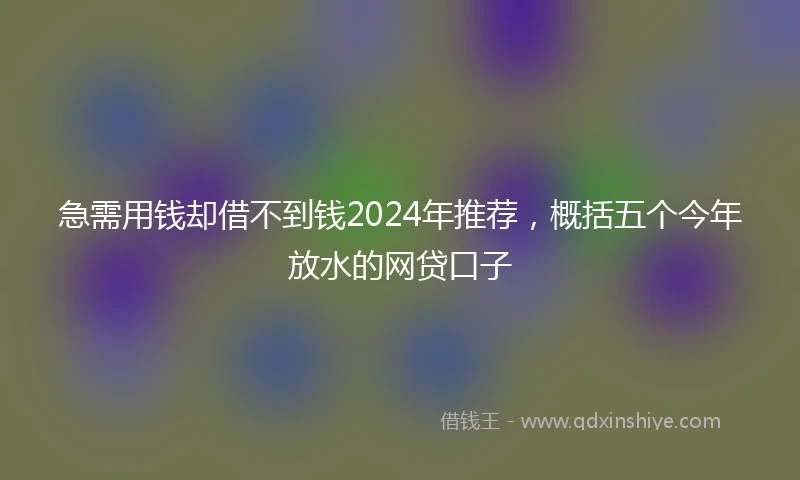 急需用钱却借不到钱2024年推荐，概括五个今年放水的网贷口子