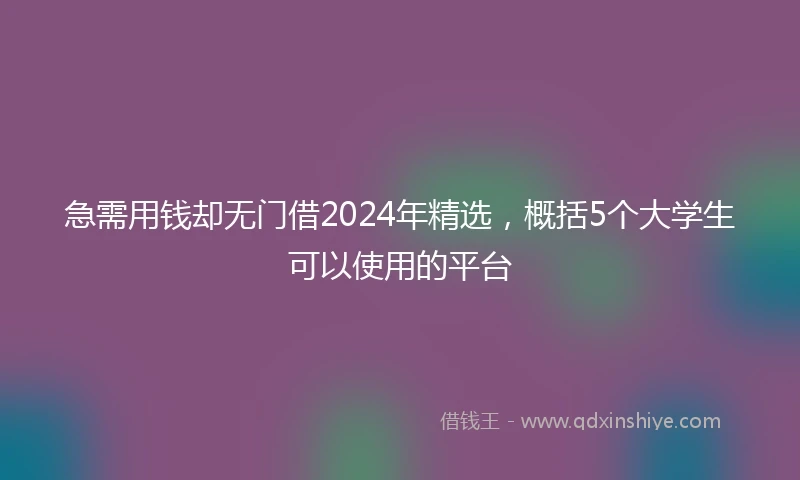 急需用钱却无门借2024年精选，概括5个大学生可以使用的平台