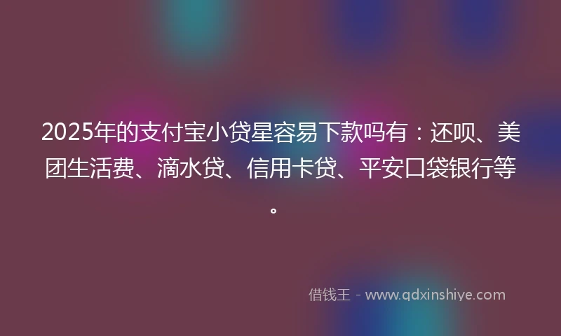 2025年的支付宝小贷星容易下款吗有：还呗、美团生活费、滴水贷、信用卡贷、平安口袋银行等。