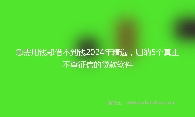 急需用钱却借不到钱2024年精选，归纳5个真正不查征信的贷款软件