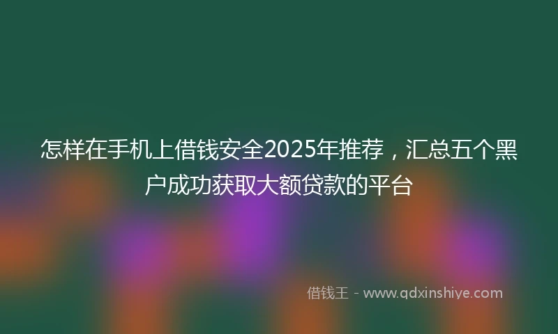 怎样在手机上借钱安全2025年推荐，汇总五个黑户成功获取大额贷款的平台
