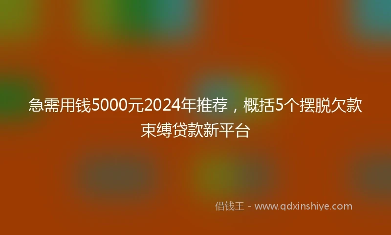 急需用钱5000元2024年推荐，概括5个摆脱欠款束缚贷款新平台