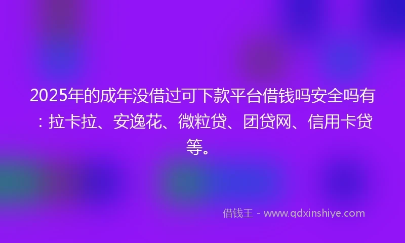 2025年的成年没借过可下款平台借钱吗安全吗有：拉卡拉、安逸花、微粒贷、团贷网、信用卡贷等。