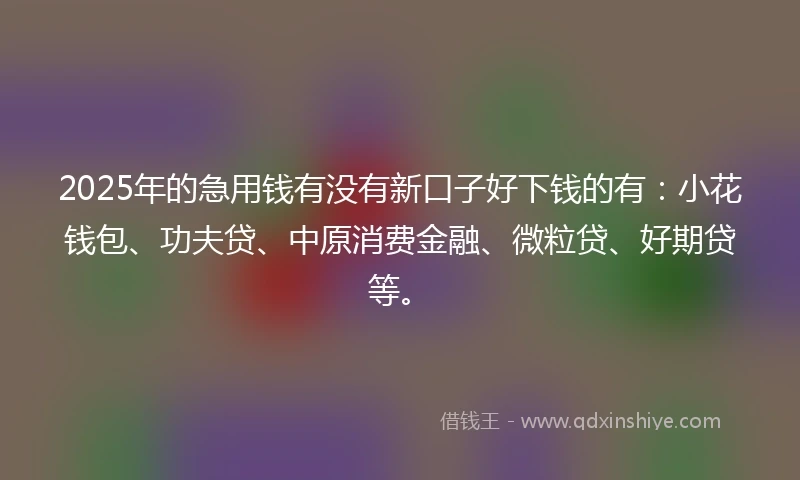 2025年的急用钱有没有新口子好下钱的有：小花钱包、功夫贷、中原消费金融、微粒贷、好期贷等。