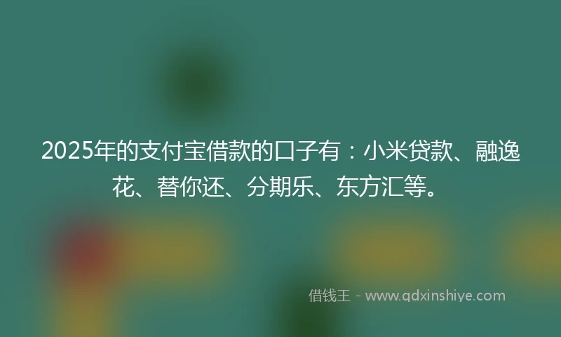 2025年的支付宝借款的口子有：小米贷款、融逸花、替你还、分期乐、东方汇等。